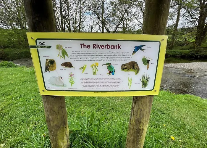 3 Bed In Windermere Oc-90476 *