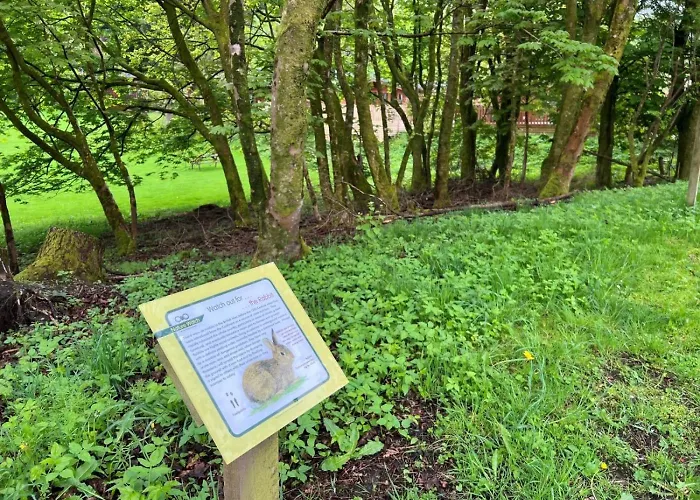 Holiday home 3 Bed In Windermere Oc-90476 Troutbeck (South Lakeland)